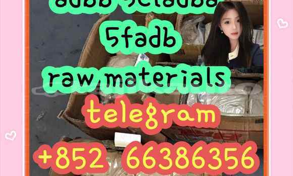 Medium with watermark 2