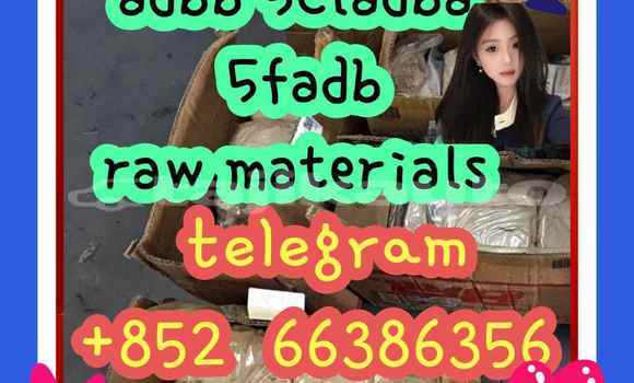 Medium with watermark 5
