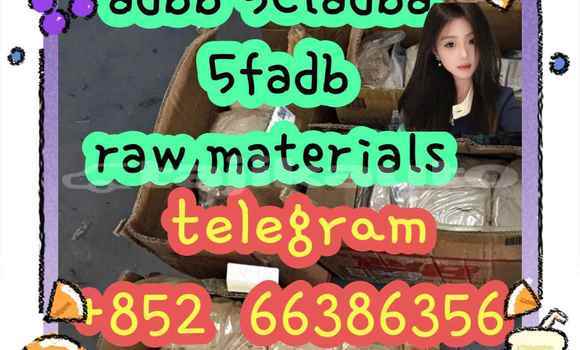 Medium with watermark 8