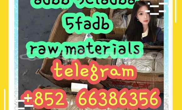 Medium with watermark 9