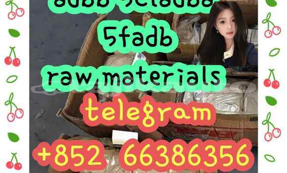 Medium with watermark 10