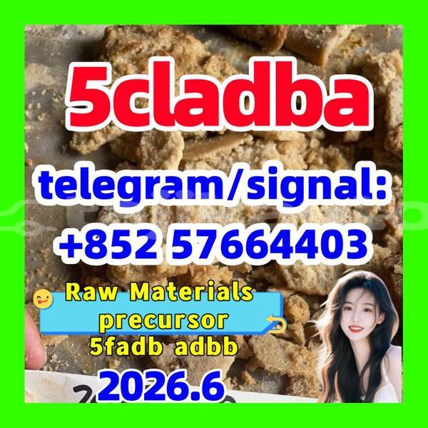 Big with watermark 510