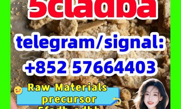 Medium with watermark 510