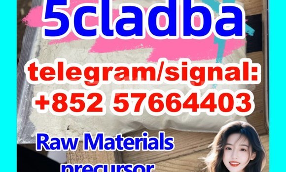 Medium with watermark 58