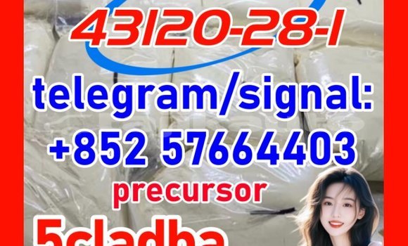 Medium with watermark 43121