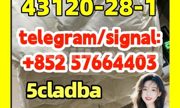 Medium with watermark 43122