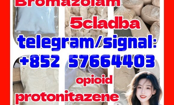 Medium with watermark z2