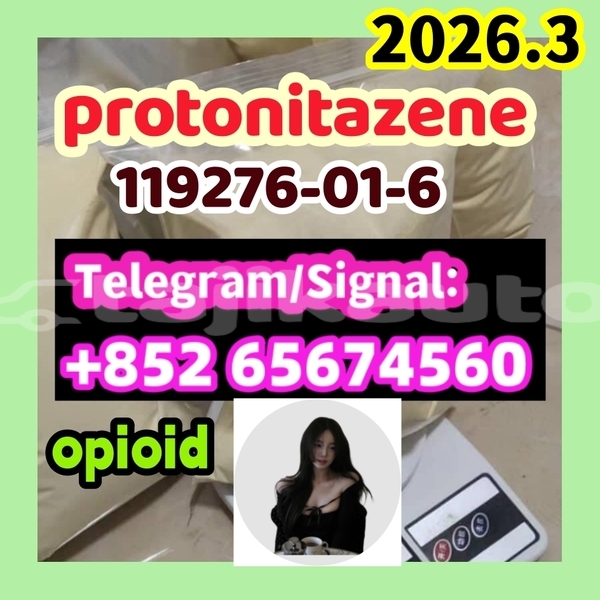 Big with watermark protonita
