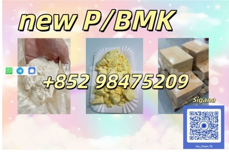 Big with watermark ajp galp sughd ayni 28449