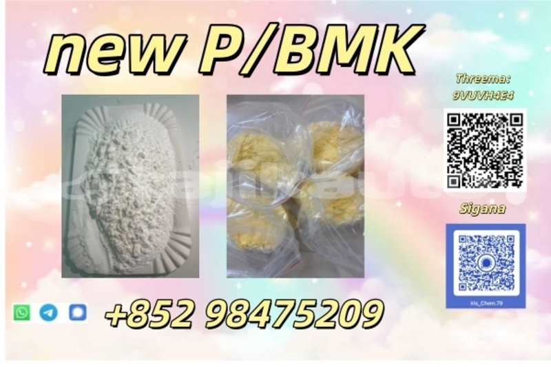 Big with watermark ajp galp sughd ayni 28449