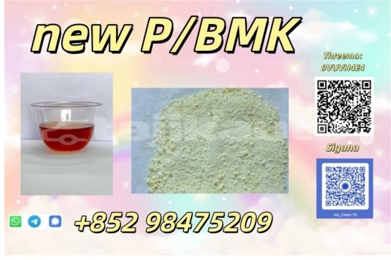 Big with watermark ajp galp sughd ayni 28449