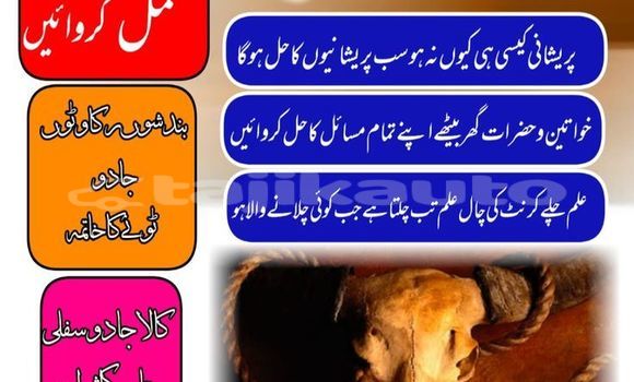 Buy lahroe baba best expert in Ayni in Sughd Buy lahroe baba best expert in Ayni in Sughd