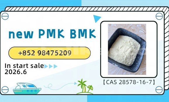 Buy CAS 1451-82-7 pmk bmk in Dushanbe in Dushanbe Buy CAS 1451-82-7 pmk bmk in Dushanbe in Dushanbe