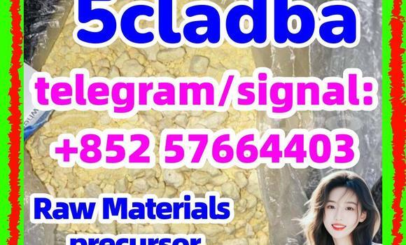 Medium with watermark 56