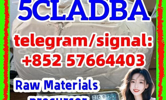 Medium with watermark 57
