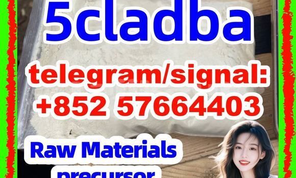 Medium with watermark 58
