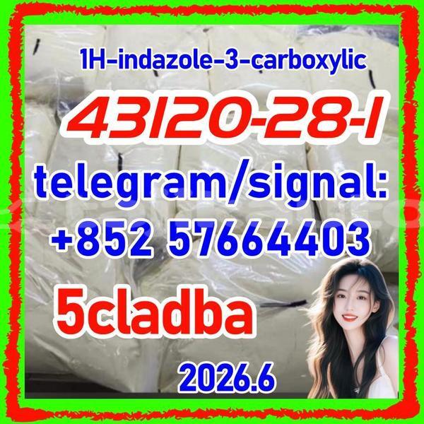 Big with watermark 43121