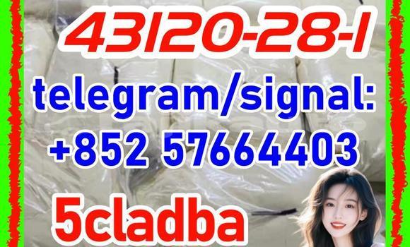 Medium with watermark 43121