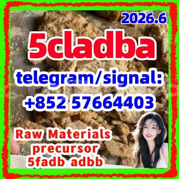Big with watermark 510