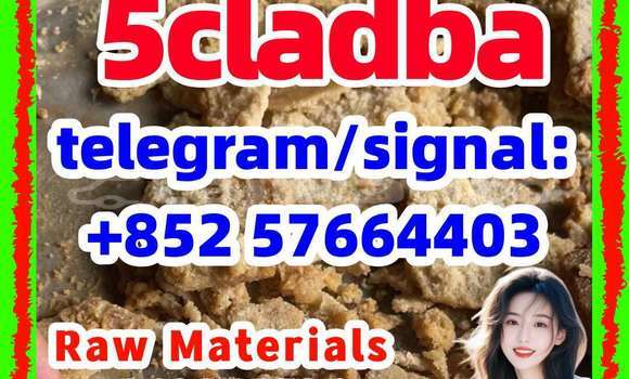 Medium with watermark 510