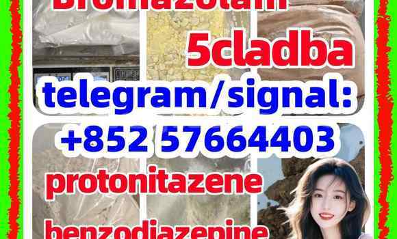 Medium with watermark z2