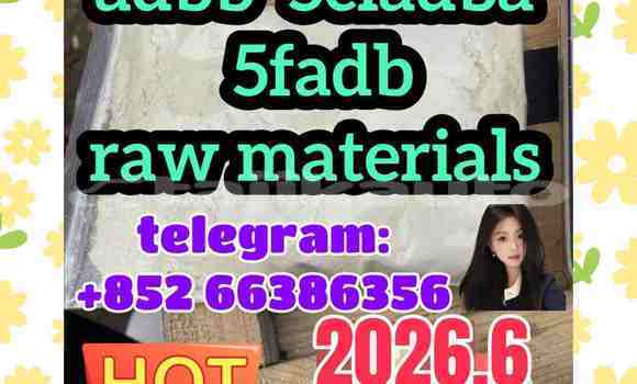 Medium with watermark 1