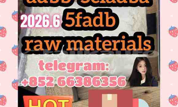Medium with watermark 2
