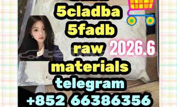 Medium with watermark 8