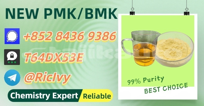 Big with watermark bertone freeclimber sughd asht 28935