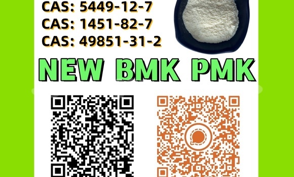 Buy Used Alpina B4 Brown Car in Chorku in Sughd