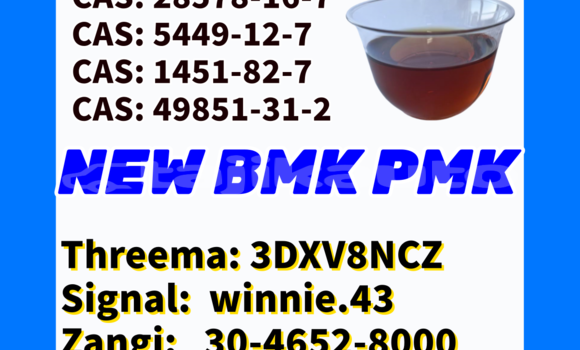 Buy Used Alpina B4 Brown Car in Buston in Sughd