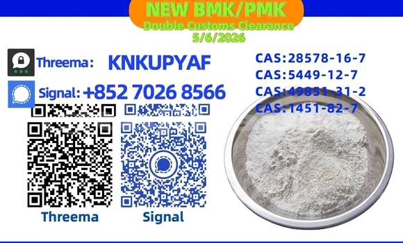 Buy Used Acura CSX Black Car in Chkalov in Sughd