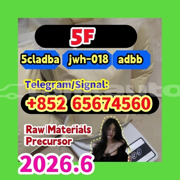 Big with watermark 5fasfsdgvref %e5%89%af%e6%9c%ac