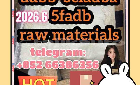 Medium with watermark 2