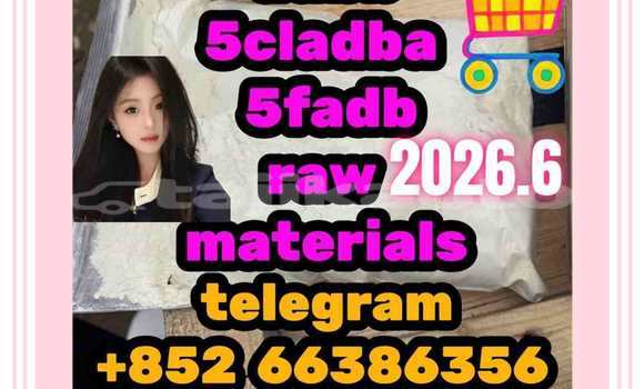 Medium with watermark 7