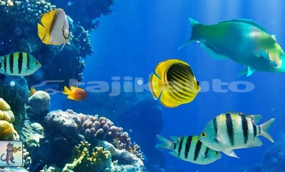 Medium with watermark maxresdefault