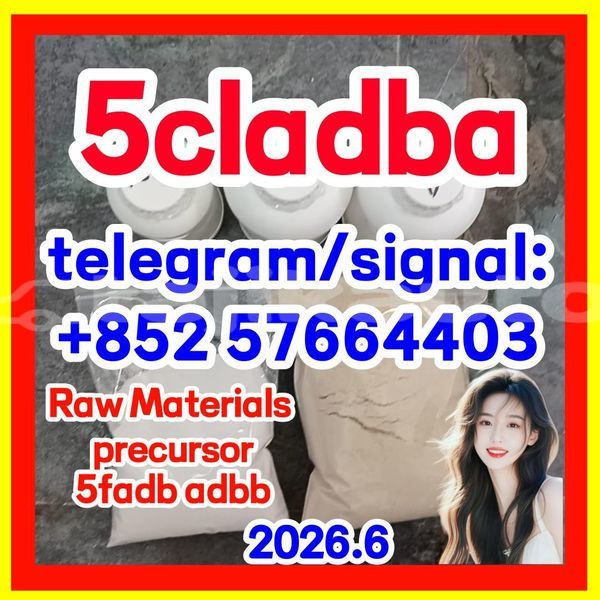 Big with watermark 51