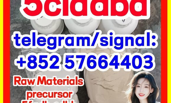 Medium with watermark 51