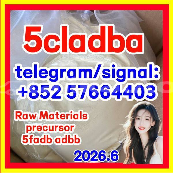 Big with watermark 52
