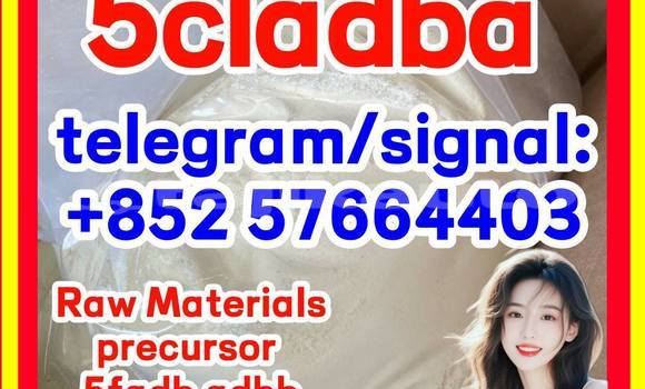 Medium with watermark 52
