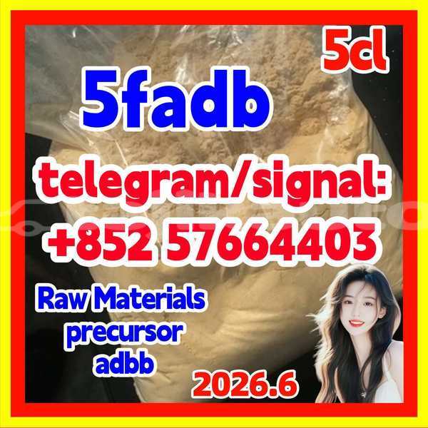 Big with watermark 53