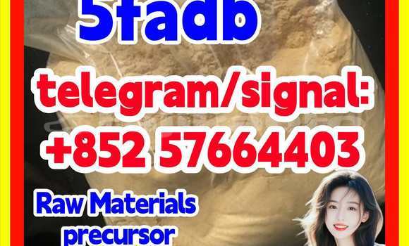 Medium with watermark 53