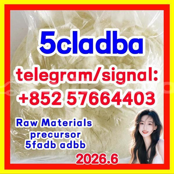 Big with watermark 54