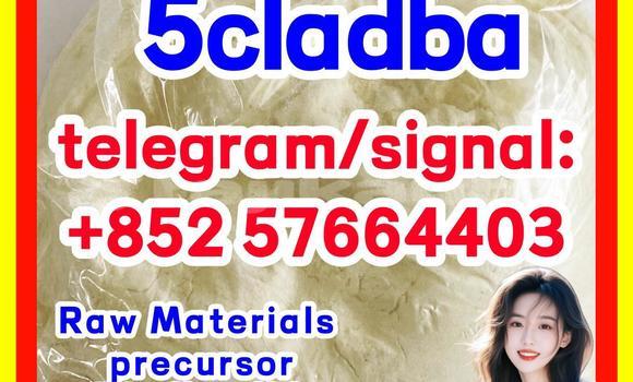 Medium with watermark 54