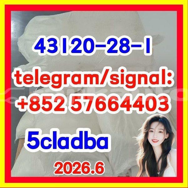 Big with watermark 43120
