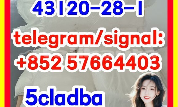 Medium with watermark 43120