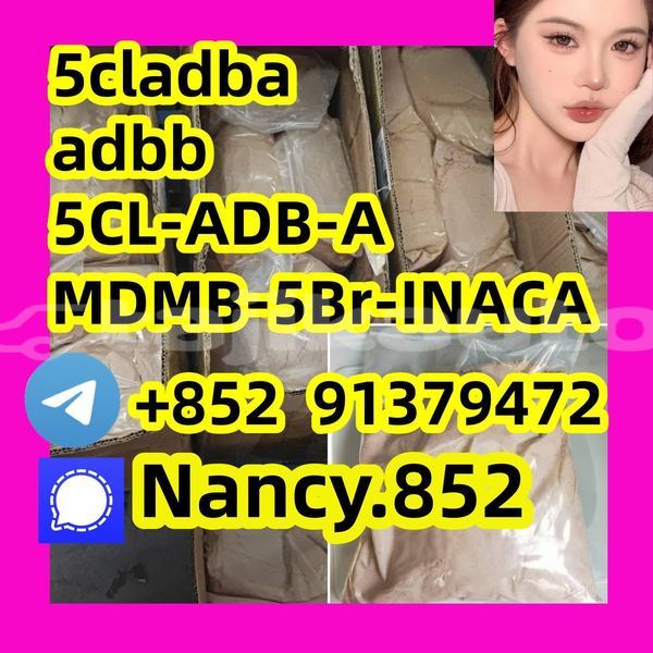 Big with watermark 5.1 %e5%89%af%e6%9c%ac