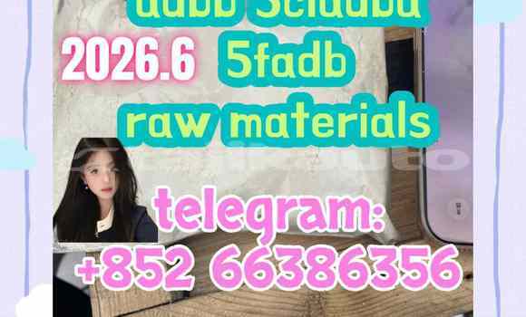 Medium with watermark 2