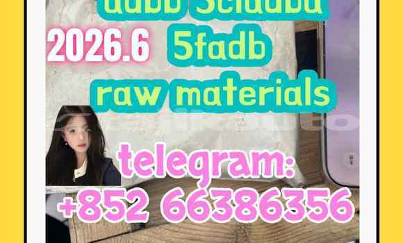 Medium with watermark 1