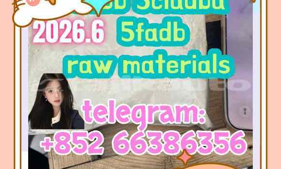 Medium with watermark 2